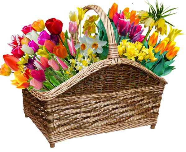 Tolet Care Property Image